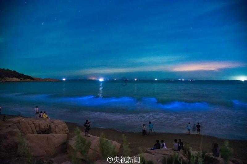 很多家长会用“树大自然直”来安慰自己,你是如何看待这句话的?点击保存-知识星球平台