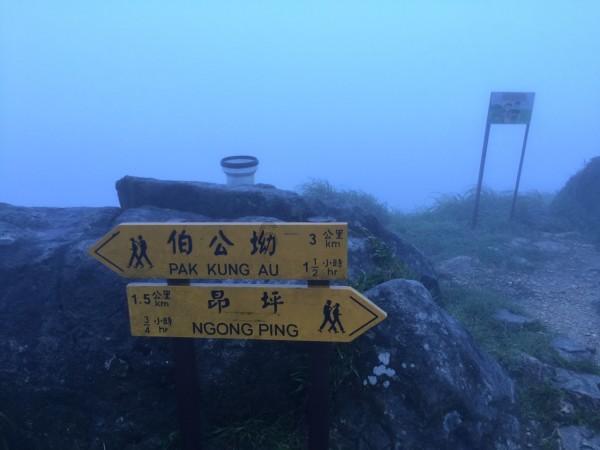 万词王