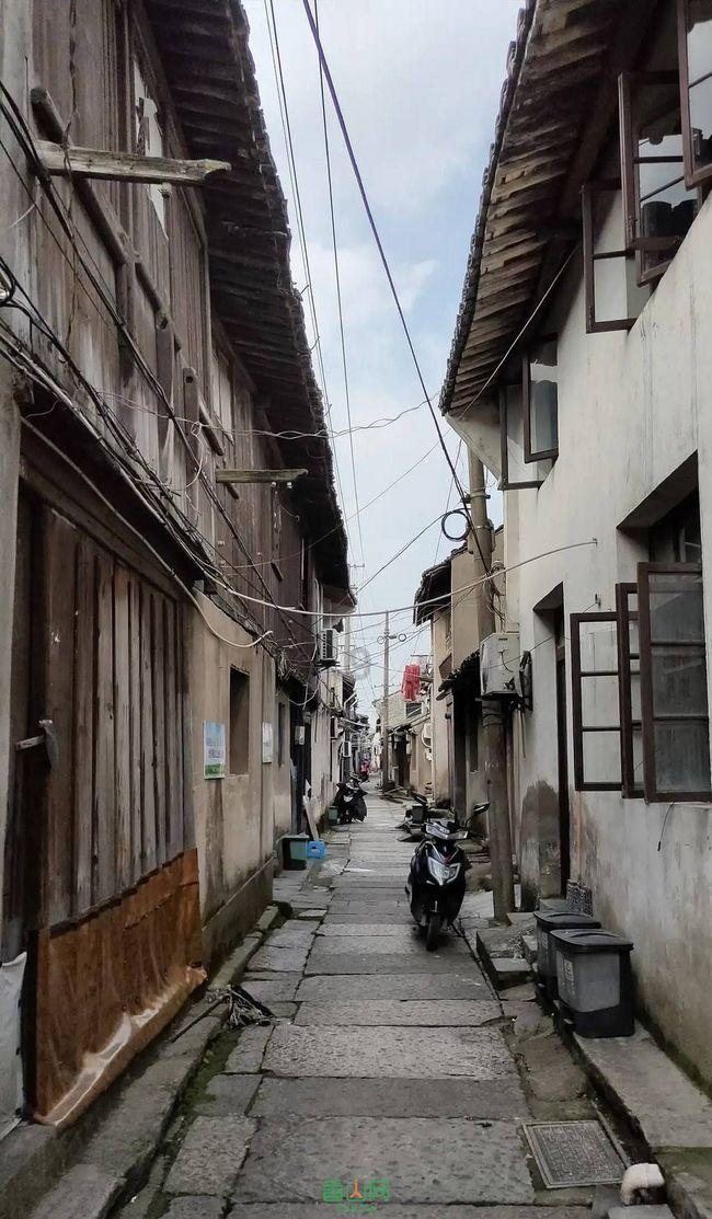 竞技宝one